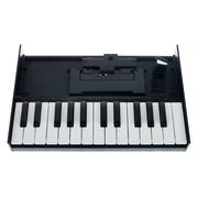 Roland K-25m