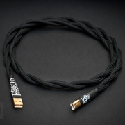 Forza AudioWorks Copper Series Twin USB