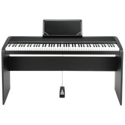 B1 DIGITAL PIANO - B1 DIGITAL PIANO