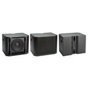 Turbosound Flashline Mini TFS-550L