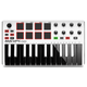 MPK MINI MK2 WHITE - MPK MINI MK2 WHITE