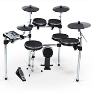 Alesis DM10 X Kit Mesh