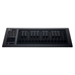 114* ROLI seaboard RISE 25 MIDIキーボード ROLI Seaboard RISE 25