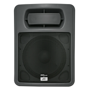 Peavey PR Sub