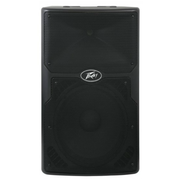 Peavey PVX 12P