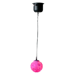 Jelly Globe - Jelly Globe