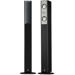 NS-F210 Para - NS-F210 Para