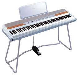 SP 250 - SP 250