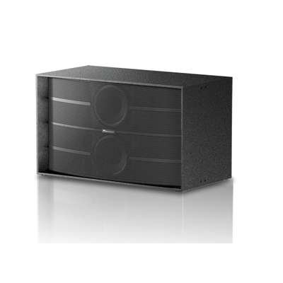Pioneer Pro Audio WAV-LOW