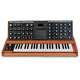 Minimoog Voyager Performer Edition - Minimoog Voyager Performer Edition