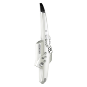Roland Aerophone AE-10