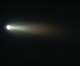 Ovation F-165 WW - Ovation F-165 WW