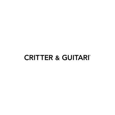 Critter & Guitari ONDA