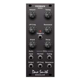 DSM03 - DSM03