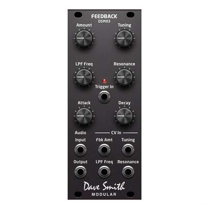 Dave Smith Instruments DSM03