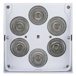 ACCU COLOR-WHITE - ACCU COLOR-WHITE
