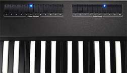 D3M Organ Keyboard inverted - D3M Organ Keyboard inverted