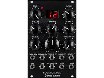 Erica Synths Black Hole DSP 2