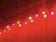 LED BAR-24 RGBA 24x1W - LED BAR-24 RGBA 24x1W