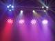 LED FE-800 - LED FE-800