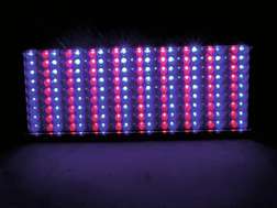 LED FLD-252 RGB 10mm Flood - LED FLD-252 RGB 10mm Flood