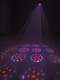 LED Flower EUROLITE FE-19 - LED Flower EUROLITE FE-19