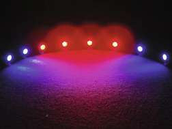 LED WMS-8 set RGB biały - LED WMS-8 set RGB biały