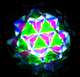 Prokaleido II - Prokaleido II