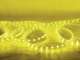 RUBBERLIGHT LED RL1-230V Yellow 44m - RUBBERLIGHT LED RL1-230V Yellow 44m