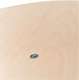 Basstrap Baby Black - Basstrap Baby Black
