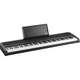 B1 DIGITAL PIANO - B1 DIGITAL PIANO