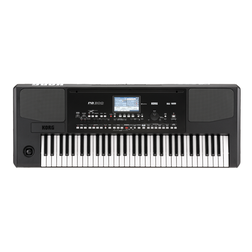 Pa300 - Pa300