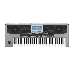 KORG Pa900 - SKYLARK