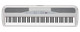 SP280 - SP280