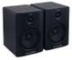 BX5 2.1 System - BX5 2.1 System
