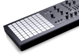 Medusa Black Limited Edition - Medusa Black Limited Edition
