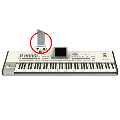 KORG Pa2X