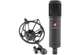 2200a II Cardioid - 2200a II Cardioid