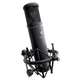 2200a II Cardioid - 2200a II Cardioid