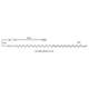 LED Rubber String Light WW - LED Rubber String Light WW