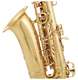 SAS-75 Alto Saxophone - SAS-75 Alto Saxophone