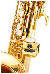 STS-75 Tenor Sax - STS-75 Tenor Sax