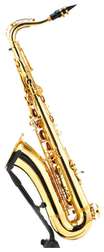 STS-75 Tenor Sax - STS-75 Tenor Sax