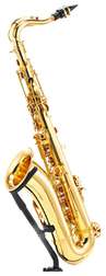 STS-75 Tenor Sax - STS-75 Tenor Sax
