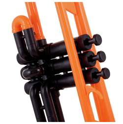 tTrumpet Orange - tTrumpet Orange
