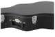 Western Guitar Case - Western Guitar Case
