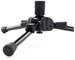 Triad T1 - Triad T1