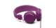 PLATTAN GRAPE - PLATTAN GRAPE