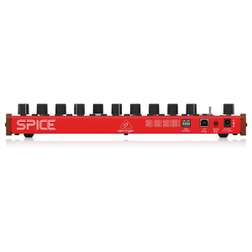SPICE - photo-5