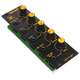 Wasp VCF - photo-2